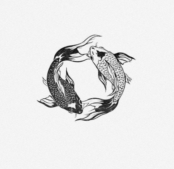 two koi fish swimming in a circle with their tails curled around the other side