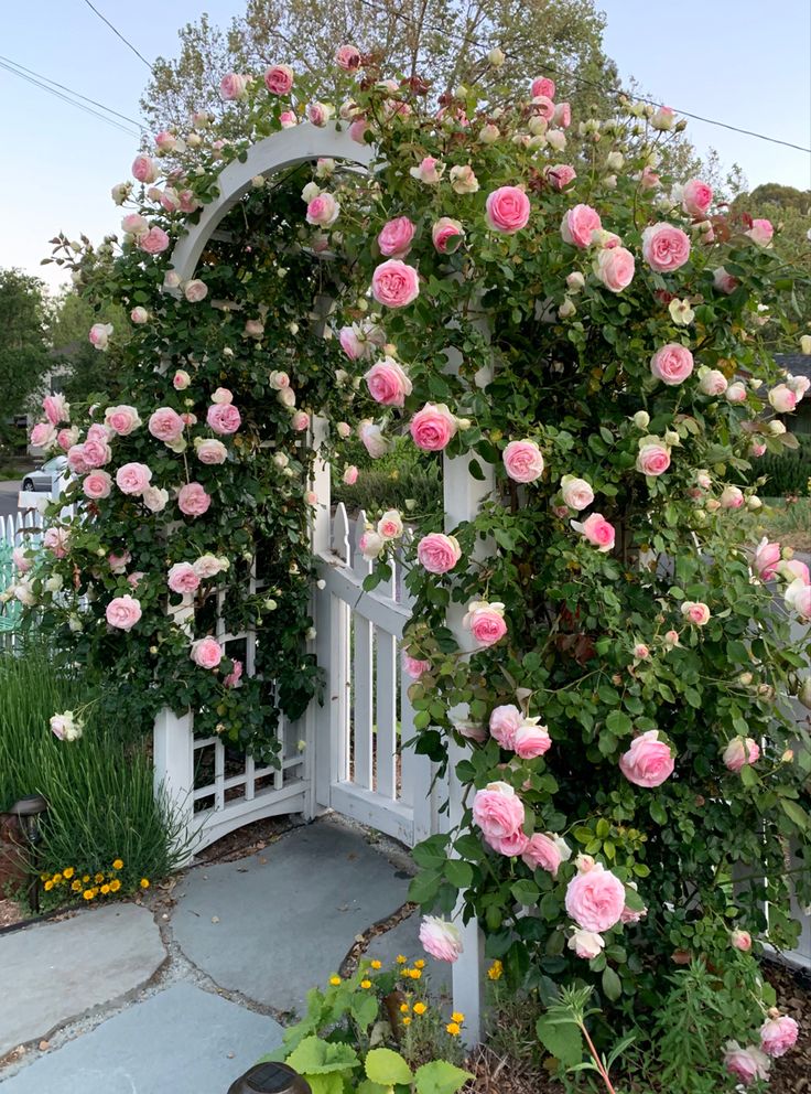 pink roses are growing on the side of a white arbor in front of a house