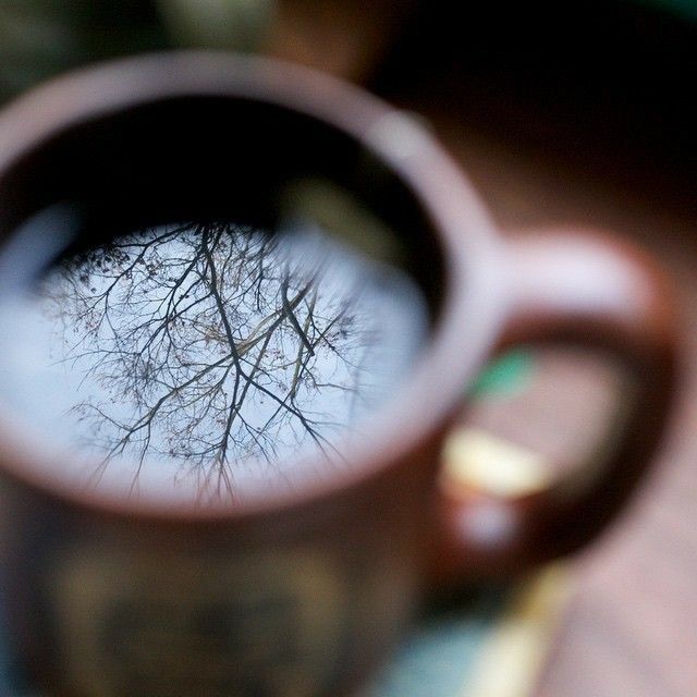 the reflection of trees in a coffee cup