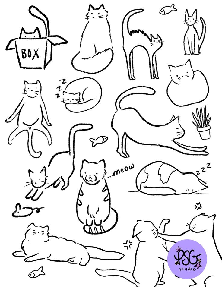 an image of cats and kittens coloring pages