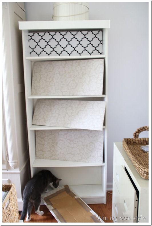 a cat standing on the floor in front of a bookshelf that is being built