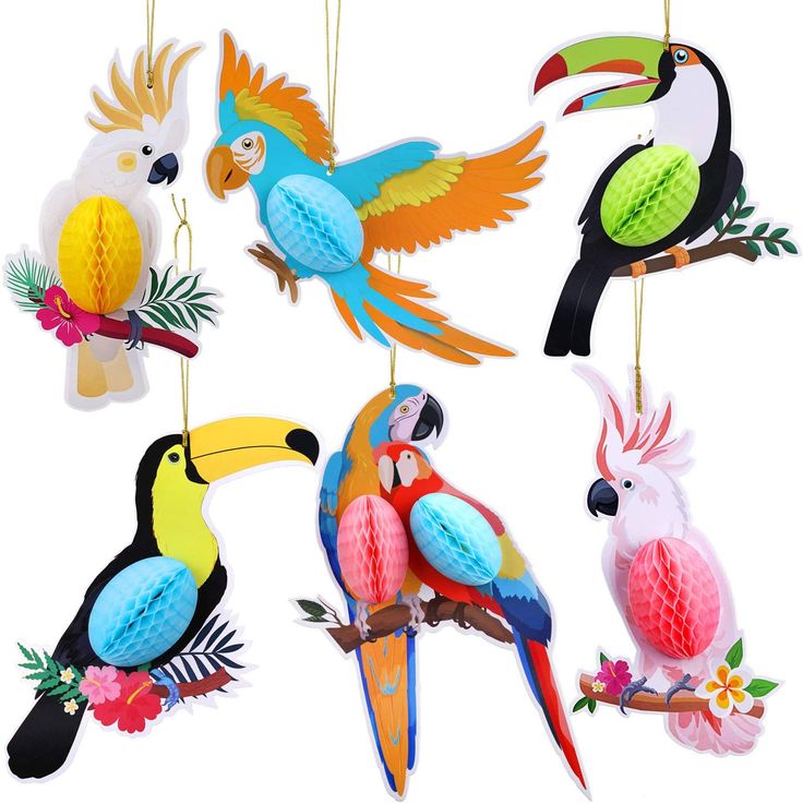 four colorful birds hanging from strings on a white background