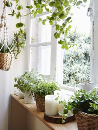 some plants are sitting on a window sill near a candle and potted plant