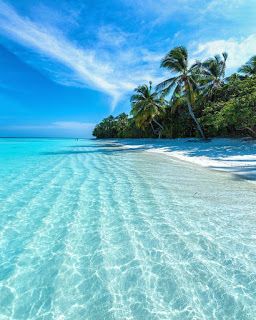 the water is crystal clear and blue with palm trees in the background on an island