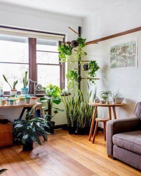 a living room filled with furniture and lots of plants on top of windowsills