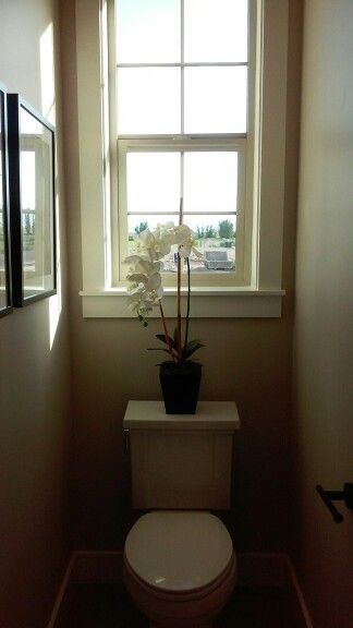 a white toilet sitting next to a window in a bathroom