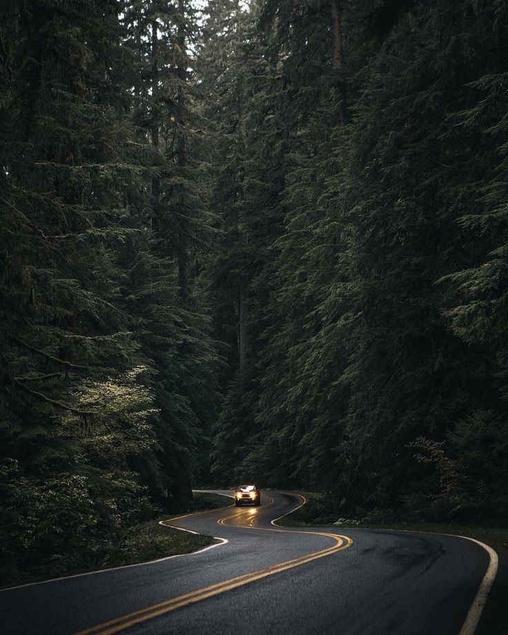 a car is driving down the road in the middle of the forest with tall trees on both sides