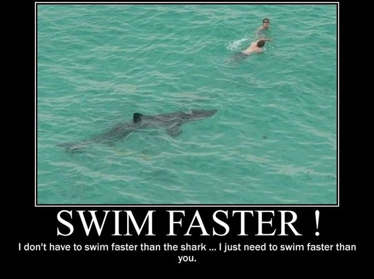 two people swimming in the water with a shark and another person standing next to them