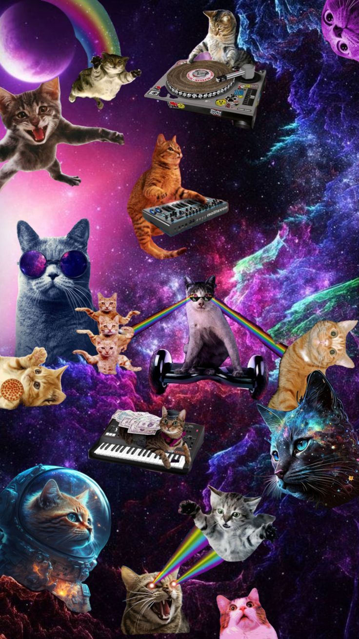 many cats are in the space with different colors