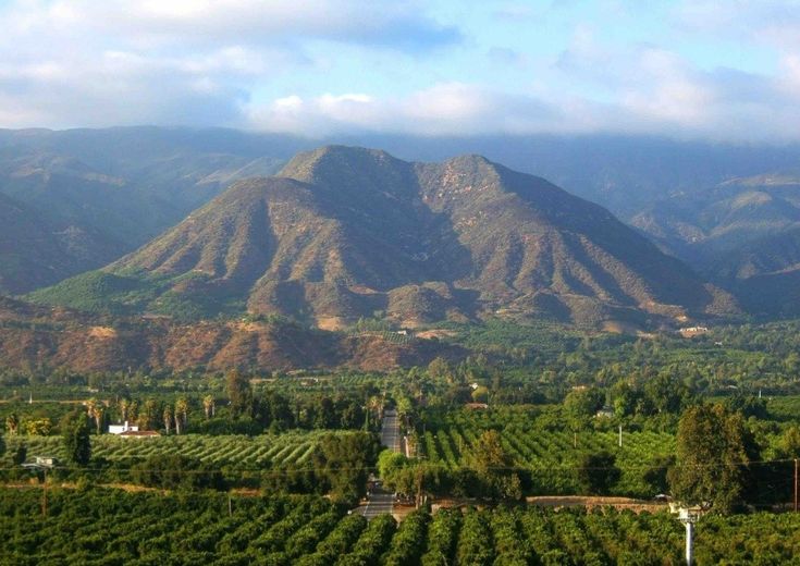 the mountains are in the distance with rows of trees