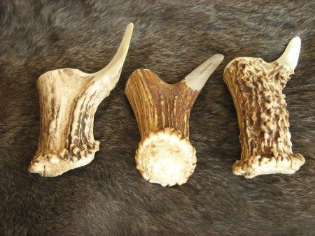 three animal bones laying on top of a fur covered floor next to eachother