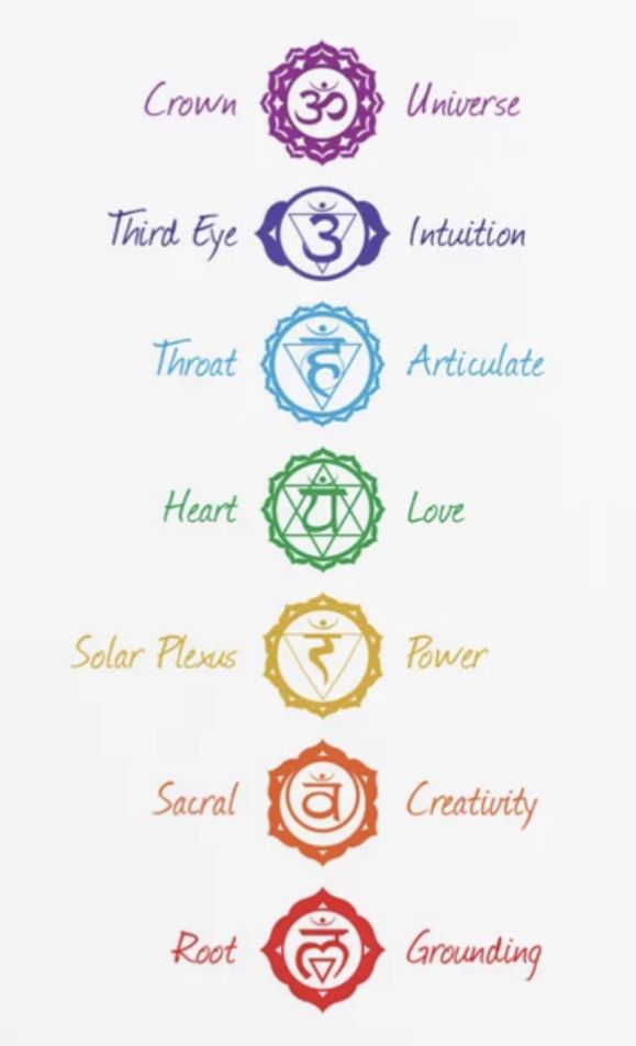 the seven chakras in different colors on a white background with words above them