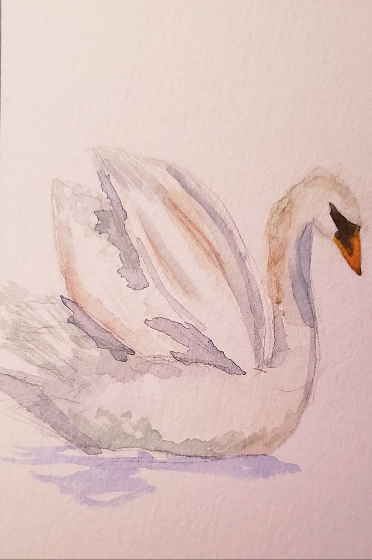 a watercolor painting of a white swan