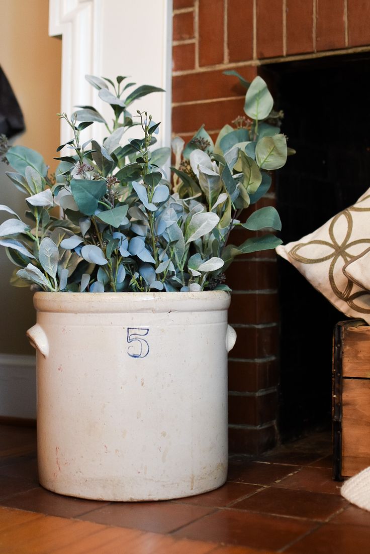 a potted plant sitting on the floor next to a fireplace