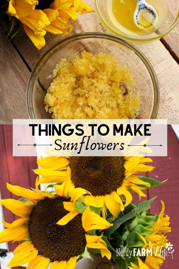 sunflowers and other flowers with the words things to make sunflowers