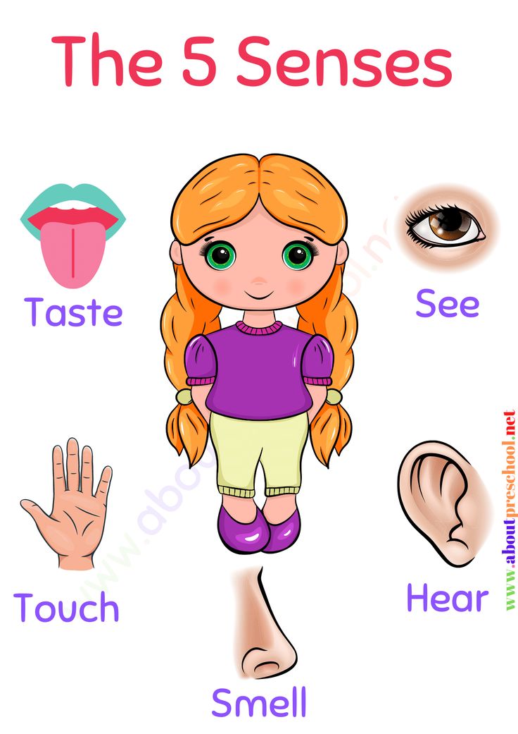 an image of the five sensess for children to learn how to use their hands