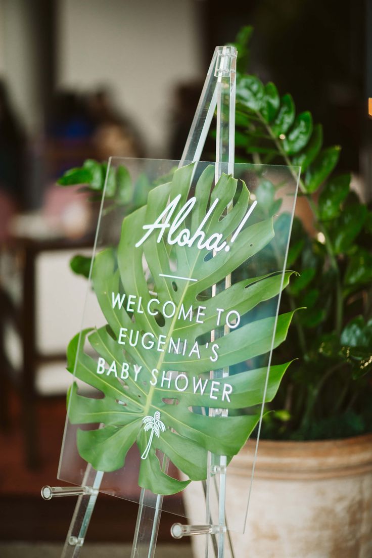 a welcome sign is displayed in front of a potted plant with leaves on it