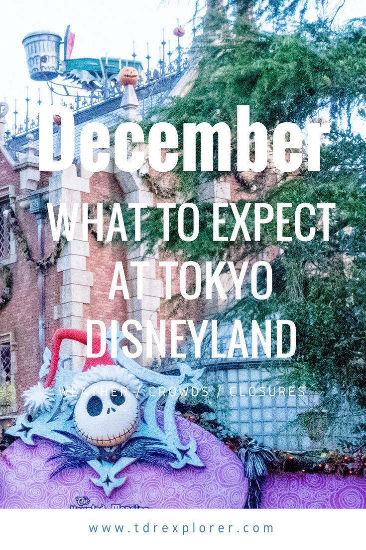 the disneyland theme park with text overlay that reads, december what to expect at tokyo disneyland