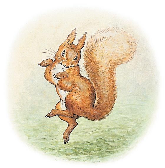 an illustration of a squirrel jumping in the air with its front paws on it's back legs