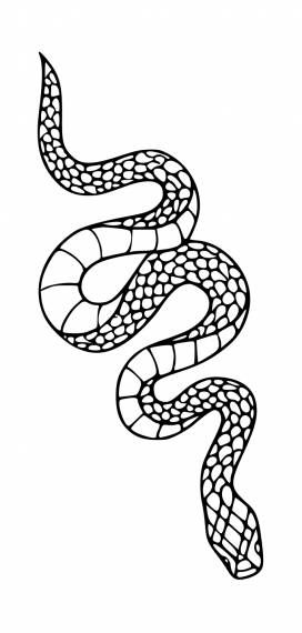 a black and white drawing of a snake