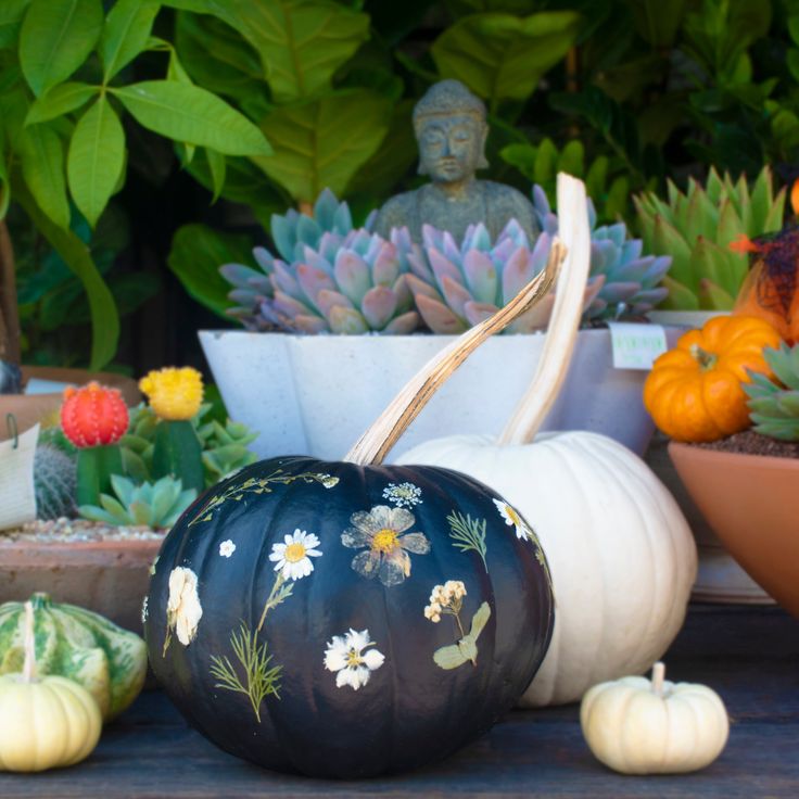 pumpkins and succulents are sitting on a table in front of potted plants