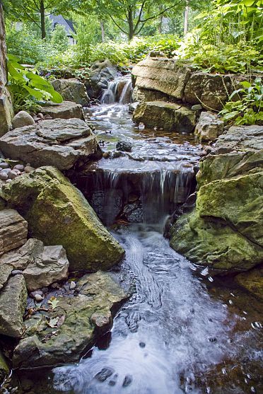 a small waterfall in the middle of a forest filled with lots of rocks and plants