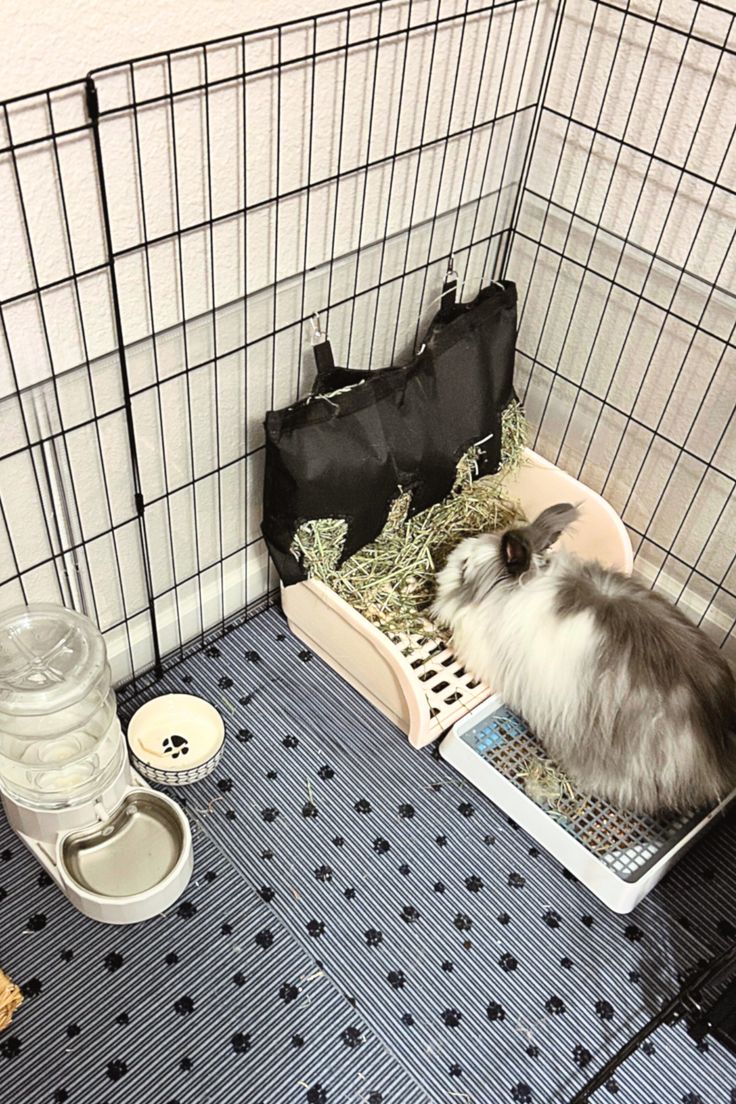 a small gray and white animal sitting in a cage next to a water bottle, food dish and other items