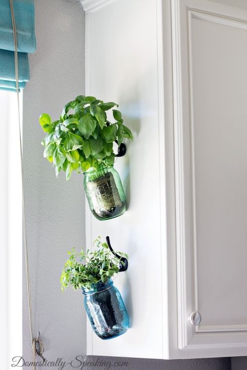 two mason jars with plants in them hanging on the wall above a kitchen cabinet door