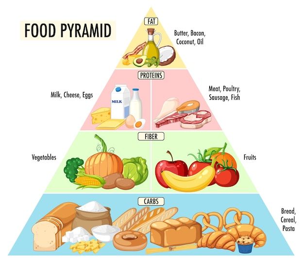 Free vector food nutrition groups pyrami... | Free Vector #Freepik #freevector #carbs #food-groups #fat-cartoon #food-clipart Food Group Pyramid, Food Groups For Kids, Food Pyramid Kids, Carbs Food, Nutrition Pyramid, Carbs In Fruit, Fat Cartoon, Kids Food Crafts, Protein Meats