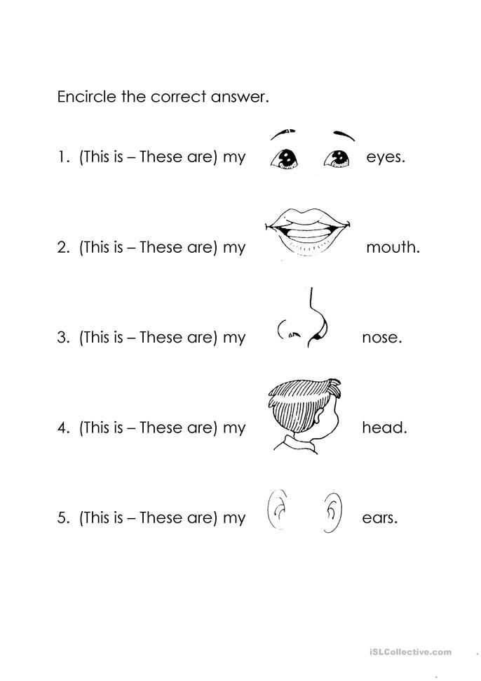 the worksheet for children to learn how to draw their faces and make them look like