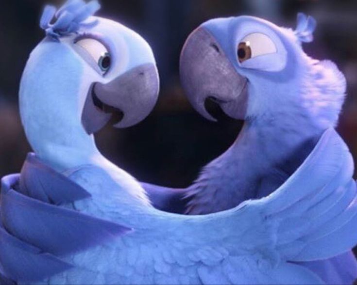 two blue birds standing next to each other