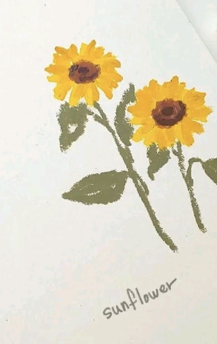 the sunflowers are drawn on paper with colored pencils