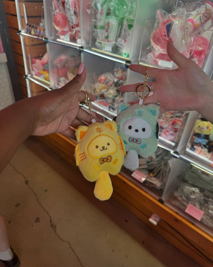 a person holding two small stuffed animals in front of a store display filled with toys