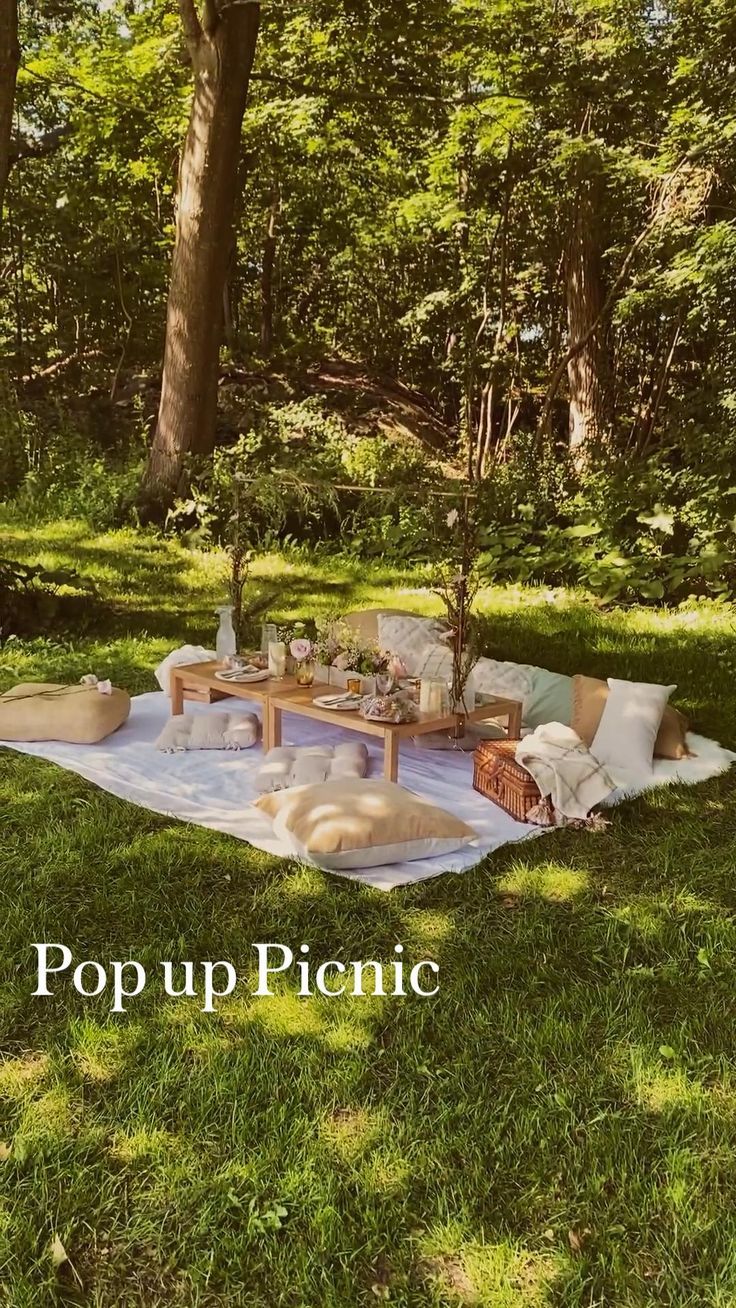 an outdoor picnic is set up in the grass with pillows and blankets on top of it