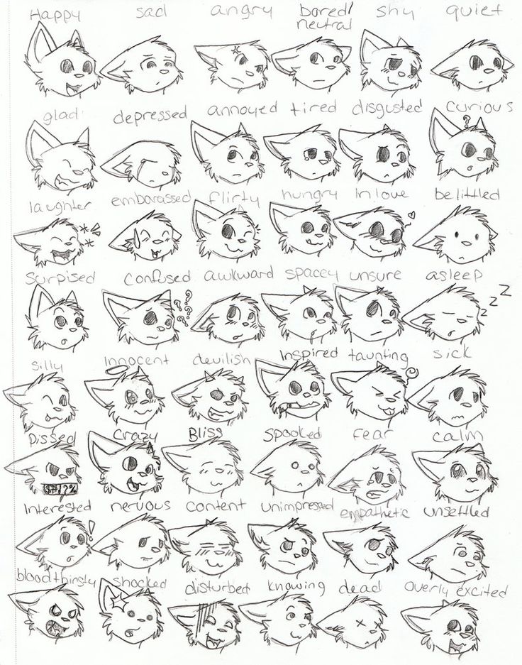 a drawing of different types of cats