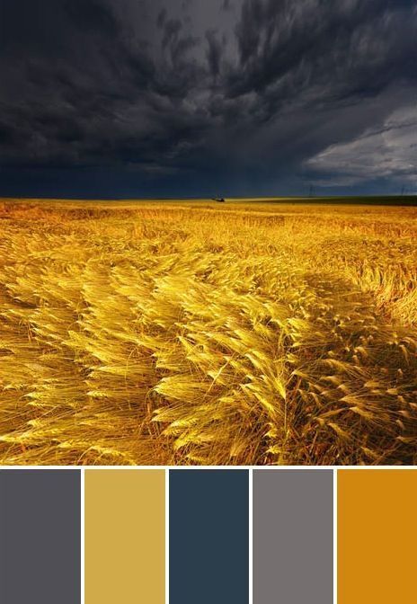 an image of a field that is in the middle of cloudy skies with chinese characters on it