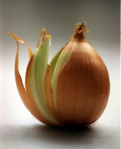 an onion sitting on top of a table