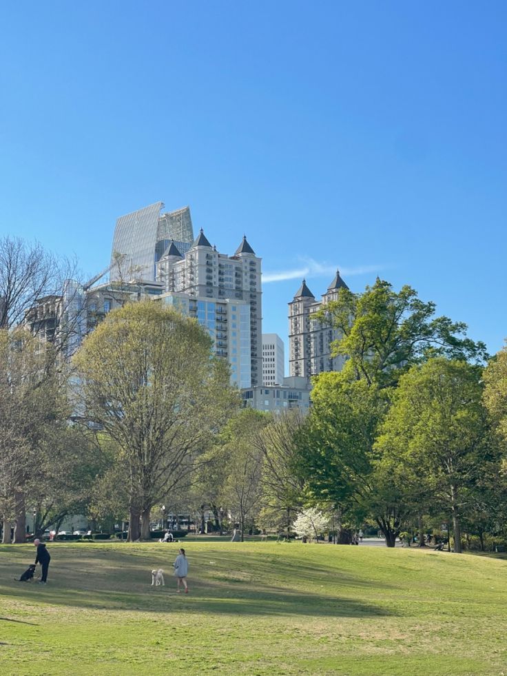 two people and a dog in a park with skyscrapers in the backround