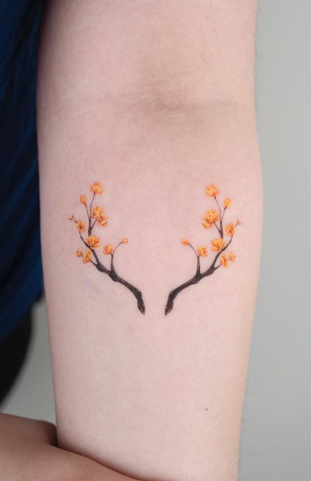 two branches with orange flowers on their arms