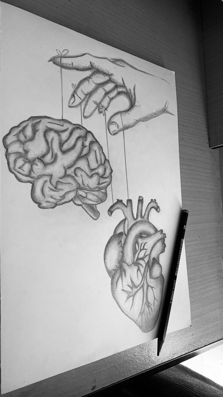 a drawing of the human heart and brain being held by two hands with pencils