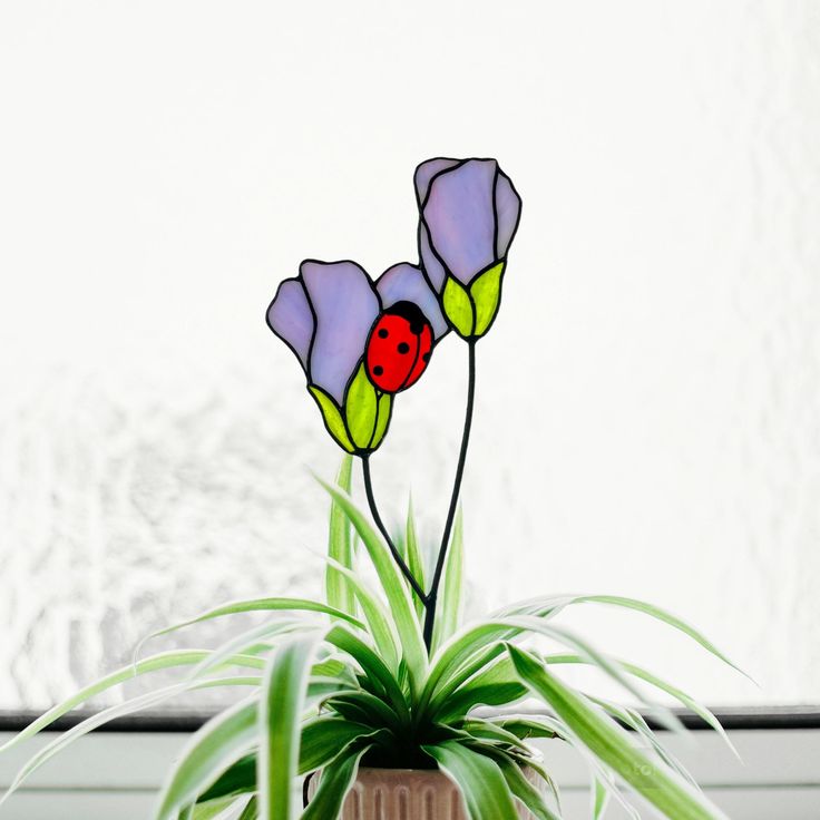 a potted plant with two flowers and a ladybug on the top, sitting in front of a window