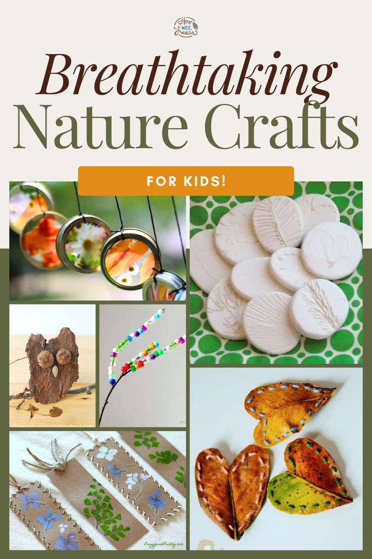 a book cover with pictures of nature crafts and text that reads, breathtaking nature crafts for kids