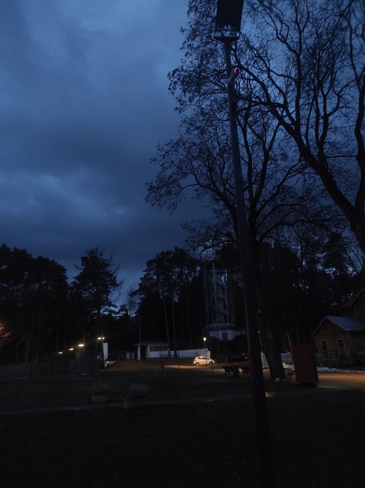 a street light sitting next to a tree on a dark night with clouds in the sky