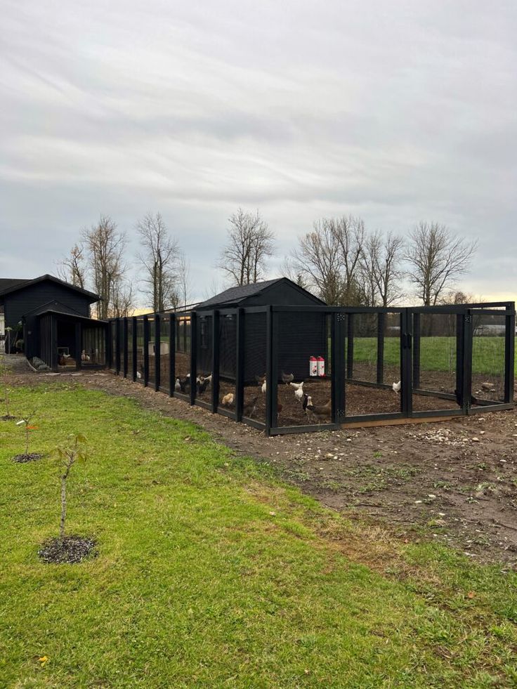 several black chicken coops in the middle of an open field with trees and grass