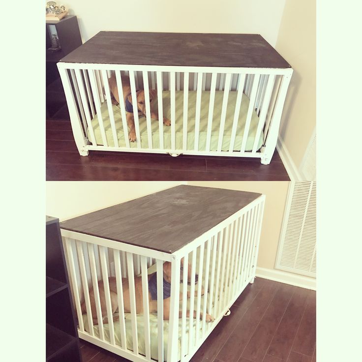 two pictures of a baby crib with a dog in it and the bottom one is empty