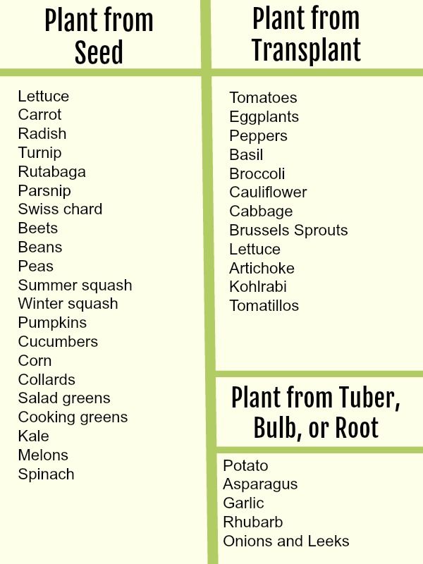 the plant from seed list is shown in green and black text on a white background