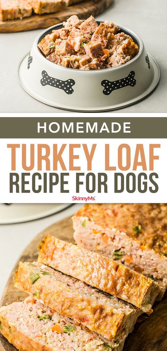 homemade turkey loaf recipe for dogs