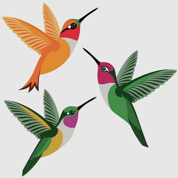 three hummingbirds flying in the sky with their beaks open and wings wide open