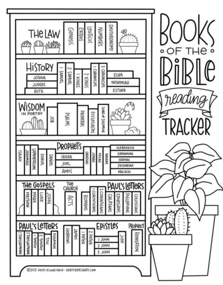 a book shelf with books on the bible and a potted plant in front of it