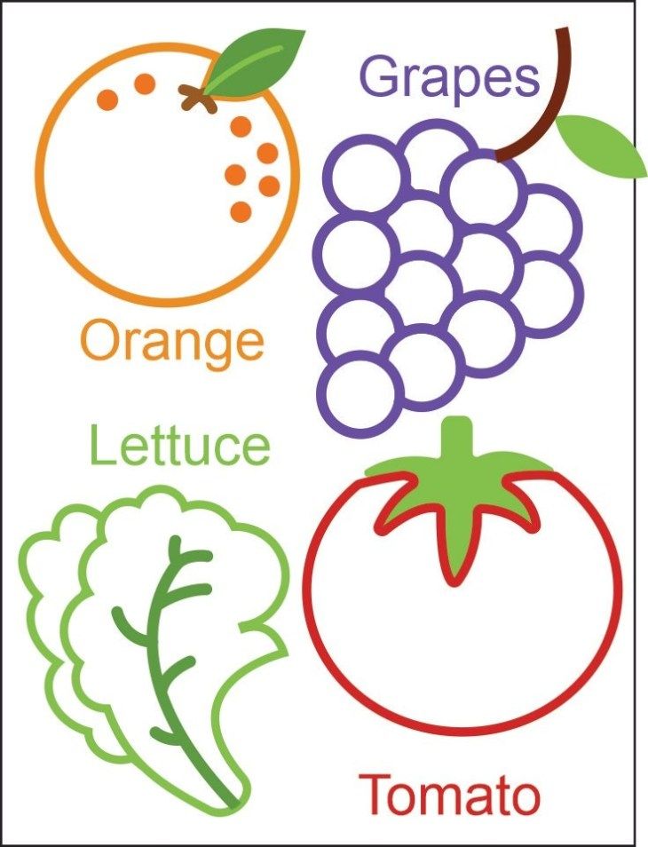 the words grape, orange, lettuce and tomato